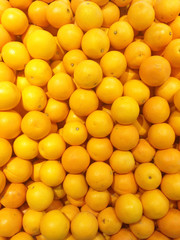 fresh oranges in the market