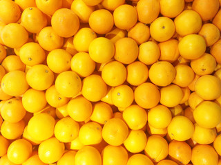 fresh oranges in the market