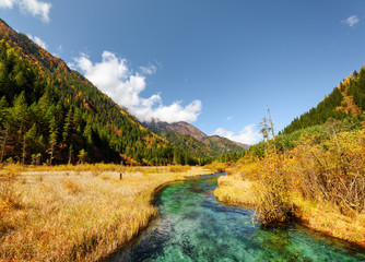 Amazing view of green river with crystal water among fall fields
