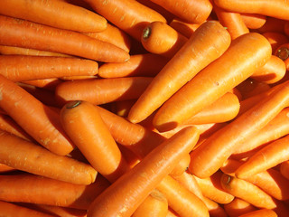 fresh carrots background