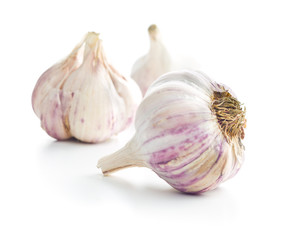 The fresh garlic.