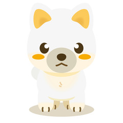 いぬっこ倶楽部 柴犬（白）