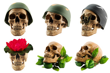Collection set of human skull(have clipping path),Human skull isolated on white background