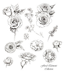 Hand-drawn collection of line art floral elements. Roses and dog-roses flowers and buds, different twigs for decorative compositions. Sketches - obrazy, fototapety, plakaty