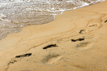 Следы на берегу озера