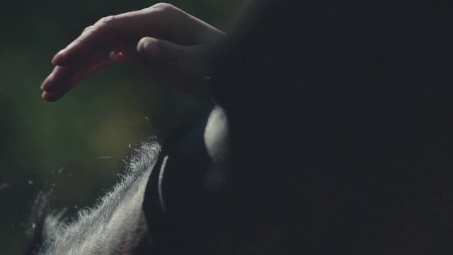Horse mane. Woman's hand stroking the horse. Muzzle of a horse.