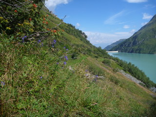 Fototapeta na wymiar stausee mooserboden dam in austrian alps