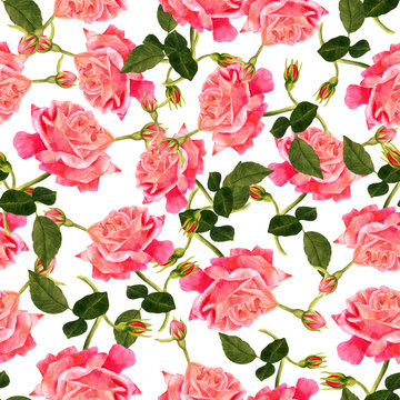 Seamless pattern with watercolor drawing of blooming red rose