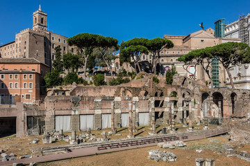 Fototapeta premium One of most famous landmarks in world - Roman Forum. Rome, Italy