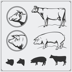 Vector pork and beef meat labels and design elements. Butcher's business logos. Silhouettes of pig and cow.