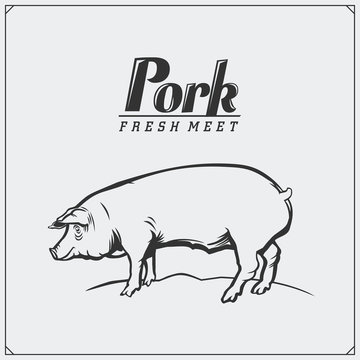 Vector vintage illustration of pig. Fresh pork meat label and emblem.
