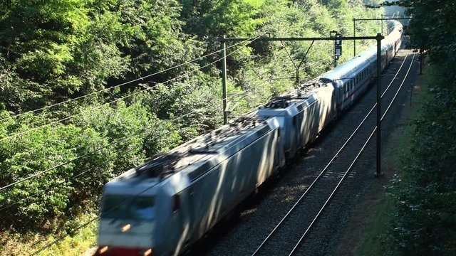 Passenger train driving past through a forest on the railroad track below.