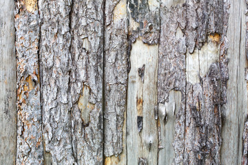 Natural tree bark plank texture background