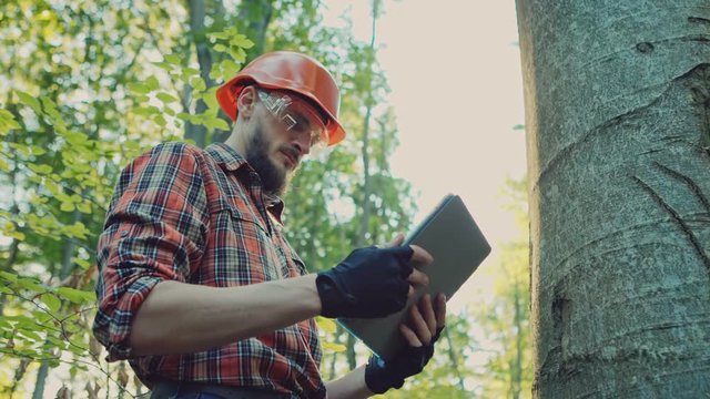 Logger in hat looking at tablet