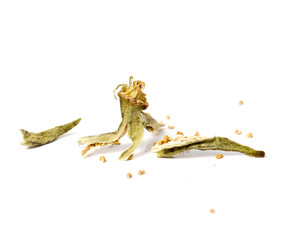 dry okra isolated on the white backgroud.