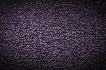 Purple leather texture or leather background for design with copy space for text or image.