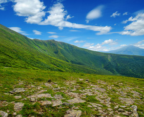 Mountain landscape in the summer