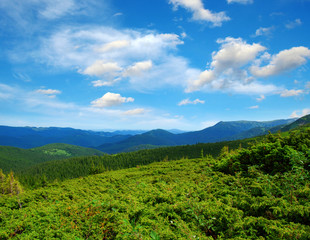 Fototapeta na wymiar Mountain landscape in the summer