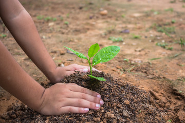 Children to love the forest.