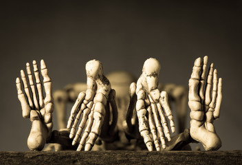 skeletons couple having sex in vintage color tone