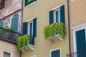 old window in the house