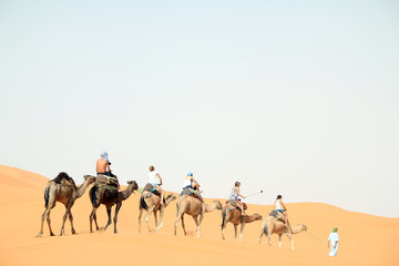 Caravana de Camelos