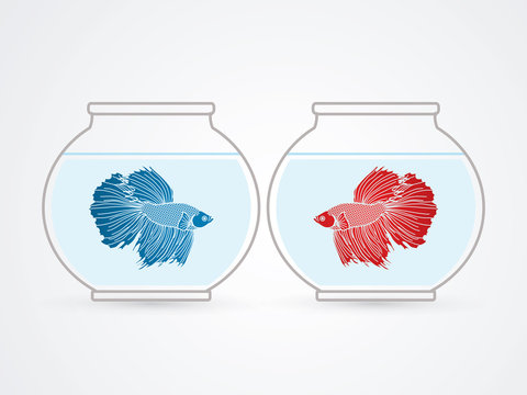 Red And Blue Siamese Fighting Fish In Glass Bowl Graphic Vector.