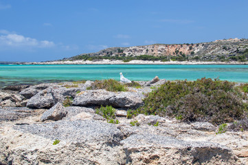 Fototapeta na wymiar Rocky wild beach with azure clear color water