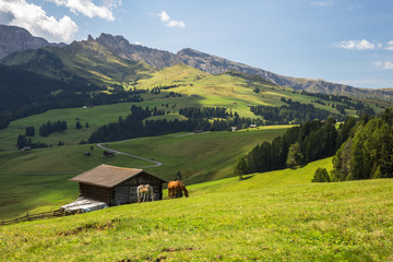 Obraz premium Seiser Alm Alpe di Siusi Dolomites Mountains Italy