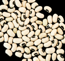 ブラッキアイビーンズ