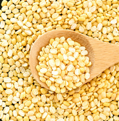 ムング豆