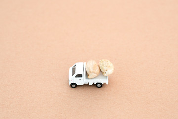 豆を運ぶトラック