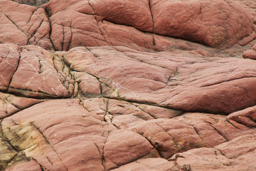 Close up Pink Rock on shore at Chantaburi province, Thailand