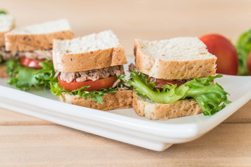 tuna sandwich on plate