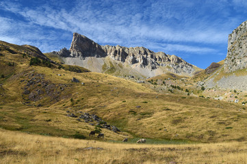 Obraz premium Chipeta Alto - 5