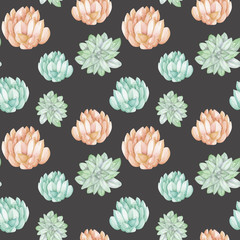 Seamless pattern with the watercolor tender mint and pink succulents, hand drawn on a dark background