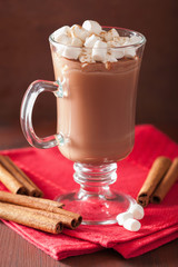 hot chocolate with mini marshmallows cinnamon winter drink