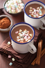 Fototapeta na wymiar hot chocolate with mini marshmallows cinnamon winter drink