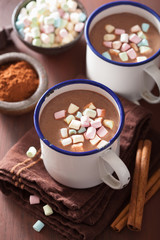hot chocolate with mini marshmallows cinnamon winter drink