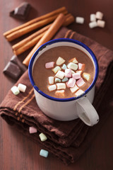 hot chocolate with mini marshmallows cinnamon winter drink