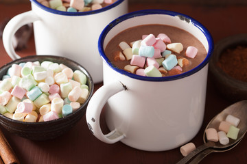 hot chocolate with mini marshmallows cinnamon winter drink