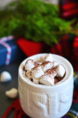 Winter drink - Hot chocolate with marshmallows and cinnamon