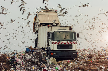 Garbage truck on a landfill 