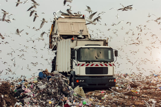 Garbage Truck On A Landfill 