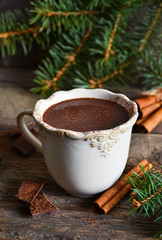 Obraz na płótnie Canvas Hot chocolate with marshmallows and cinnamon, rustic