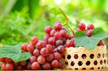 grapes on basket