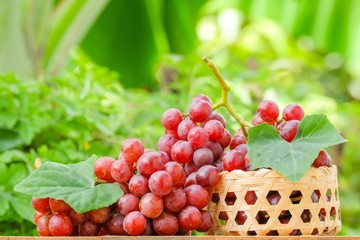 grapes on basket