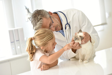 Kid watching her cat while at the veterinary © goodluz
