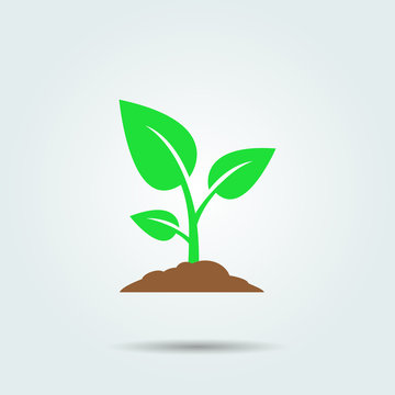 Sprout icon vector