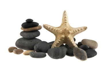 Fototapeta na wymiar starfish and stones